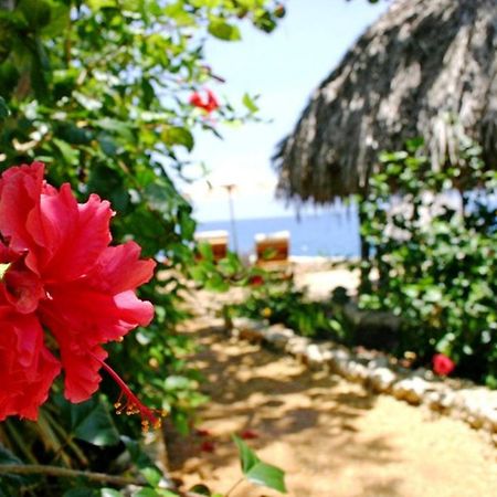 Tensing Pen Hotel Negril Exterior photo