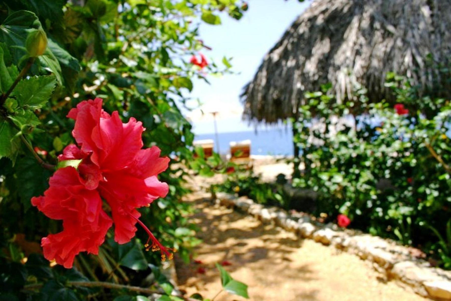 Tensing Pen Hotel Negril Exterior photo